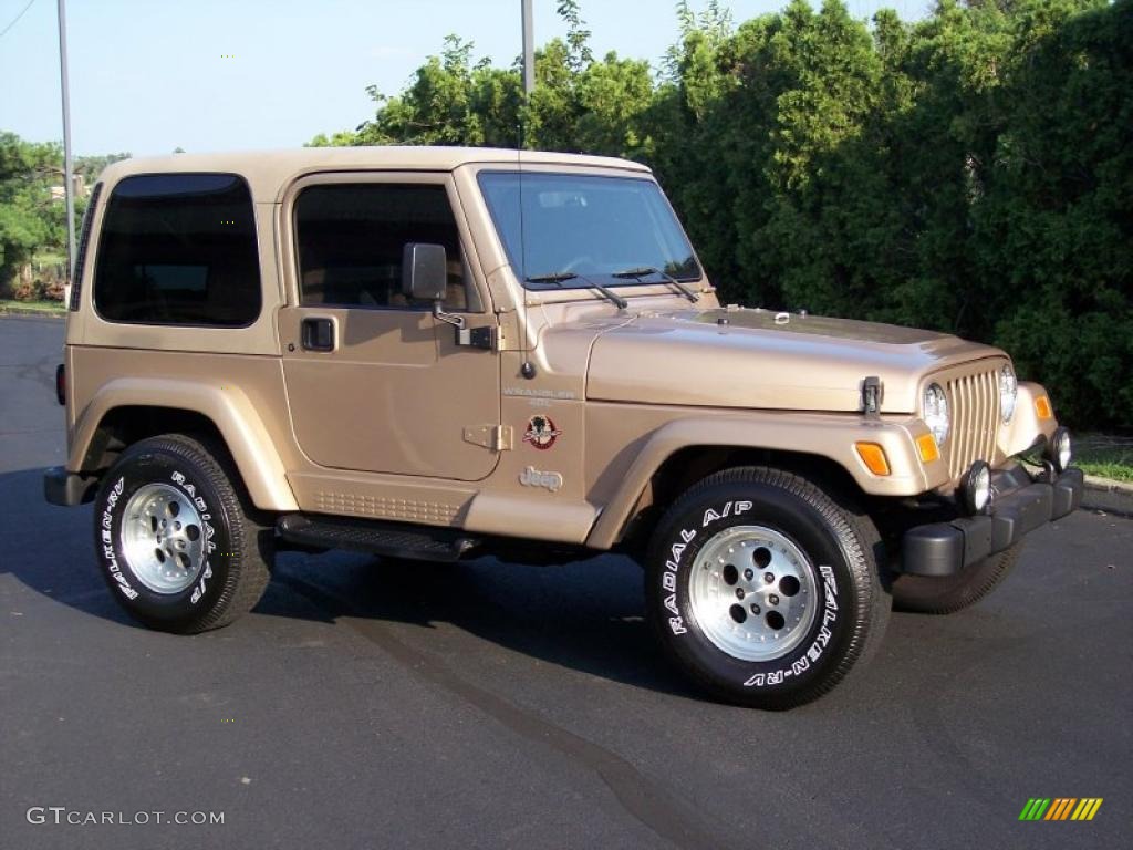 1999 Wrangler Sahara 4x4 - Desert Sand Pearlcoat / Camel/Dark Green photo #15