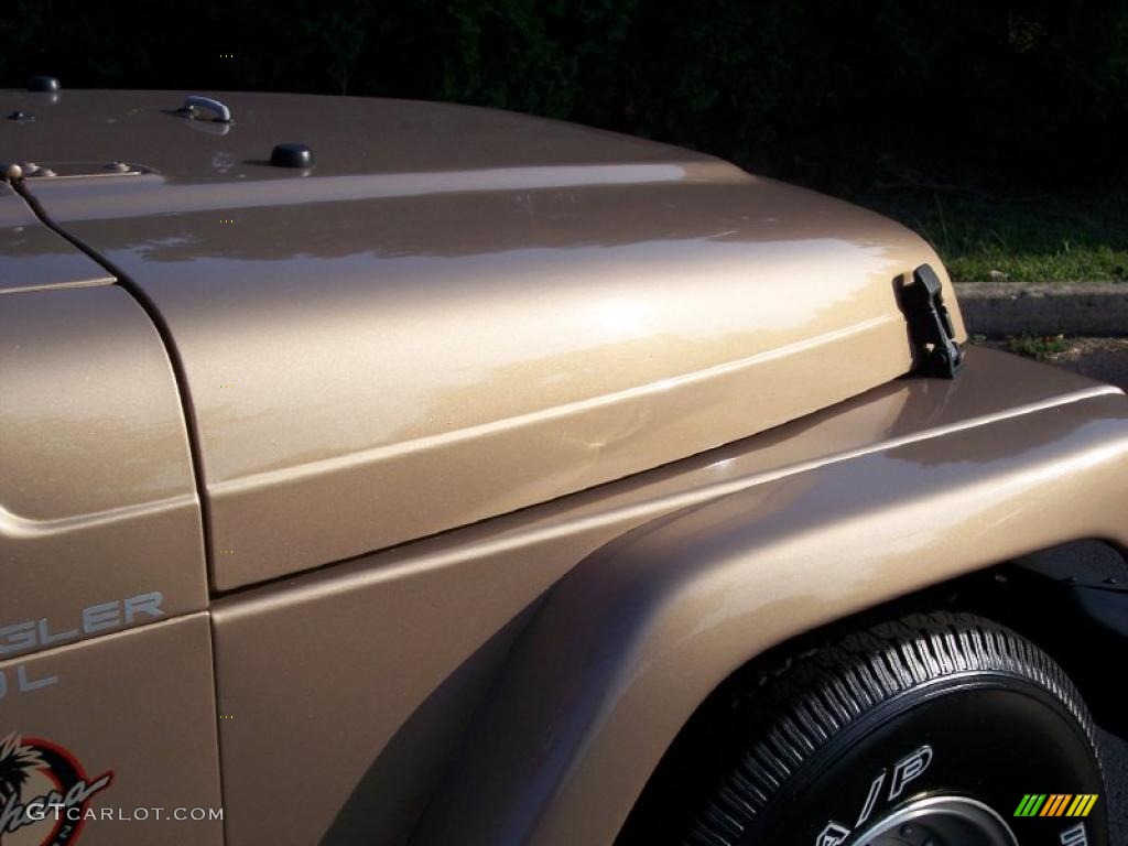1999 Wrangler Sahara 4x4 - Desert Sand Pearlcoat / Camel/Dark Green photo #24