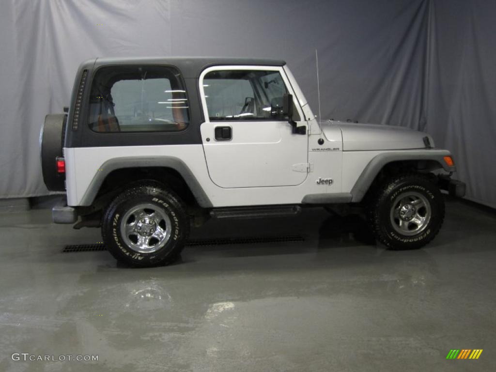 Bright Silver Metallic 2002 Jeep Wrangler Apex Edition 4x4 Exterior Photo #35667769