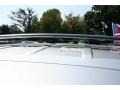 Bright Silver Metallic - Caravan SXT Photo No. 17