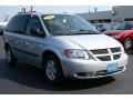 Bright Silver Metallic - Caravan SXT Photo No. 24