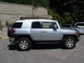Titanium Metallic - FJ Cruiser 4WD Photo No. 8