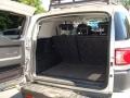 Titanium Metallic - FJ Cruiser 4WD Photo No. 24