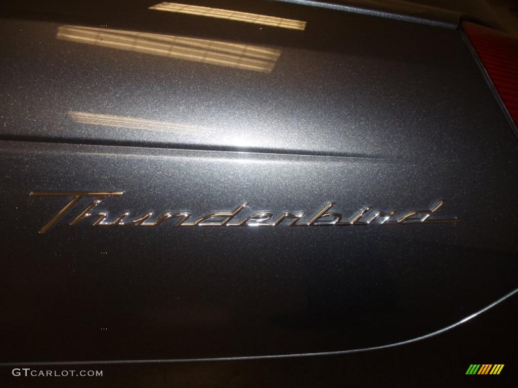 2003 Thunderbird Premium Roadster - Mountain Shadow Grey / Black Ink/Saddle photo #6
