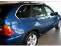 2000 Topaz Blue Metallic BMW X5 4.4i  photo #11