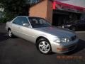 Granite Silver Pearl Metallic - TL 3.2 Photo No. 2