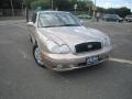 Golden Beige - Sonata GL Photo No. 2