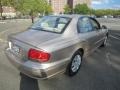 Golden Beige - Sonata GL Photo No. 8