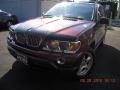 2001 Mohogany Brown Metallic BMW X5 4.4i  photo #1