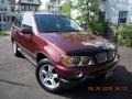 2001 Mohogany Brown Metallic BMW X5 4.4i  photo #2