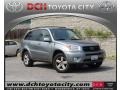 Titanium Metallic - RAV4 4WD Photo No. 1