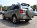 Titanium Metallic - RAV4 4WD Photo No. 5