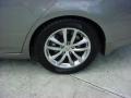 Platinum Graphite Gray - G 35 Sedan Photo No. 10