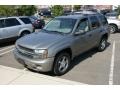 Graystone Metallic - TrailBlazer LS 4x4 Photo No. 1