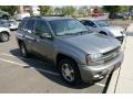 Graystone Metallic - TrailBlazer LS 4x4 Photo No. 3