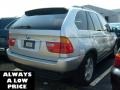 2003 Titanium Silver Metallic BMW X5 4.4i  photo #3