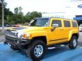Yellow - H3  Photo No. 1
