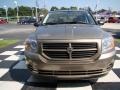 Light Khaki Metallic - Caliber SE Photo No. 4