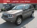 Woodland Brown Satin Glow 2002 Jeep Grand Cherokee Gallery