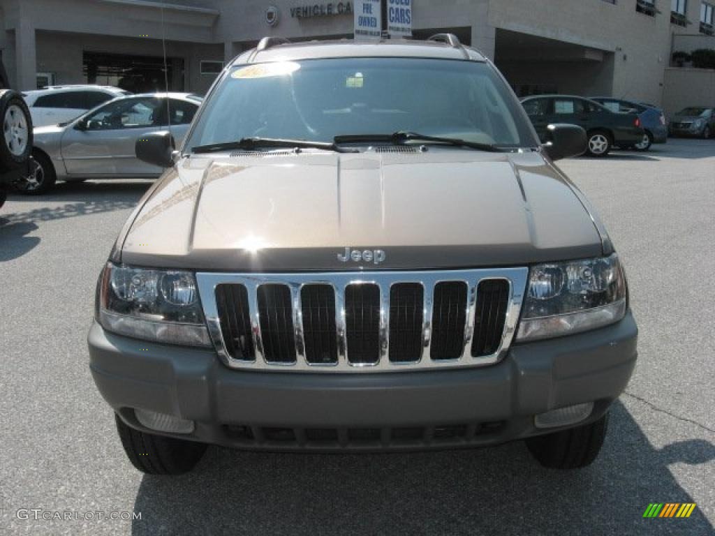 2002 Grand Cherokee Sport 4x4 - Woodland Brown Satin Glow / Sandstone photo #3