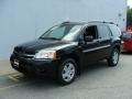 Kalapana Black 2007 Mitsubishi Endeavor LS AWD