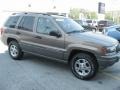 2002 Woodland Brown Satin Glow Jeep Grand Cherokee Sport 4x4  photo #47