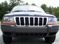 2000 Patriot Blue Pearlcoat Jeep Grand Cherokee Laredo  photo #15