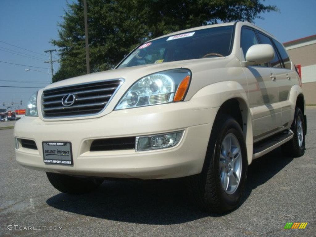 Sand Dollar Pearl Lexus GX