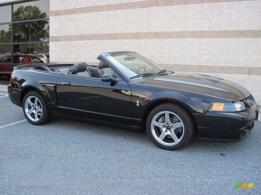 2003 Mustang Cobra Convertible - Black / Dark Charcoal/Medium Graphite photo #13