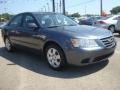 Willow Gray - Sonata GLS Photo No. 6