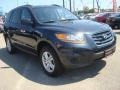 2010 Pacific Blue Pearl Hyundai Santa Fe GLS  photo #7