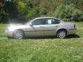 Sandstone Metallic - Impala  Photo No. 2