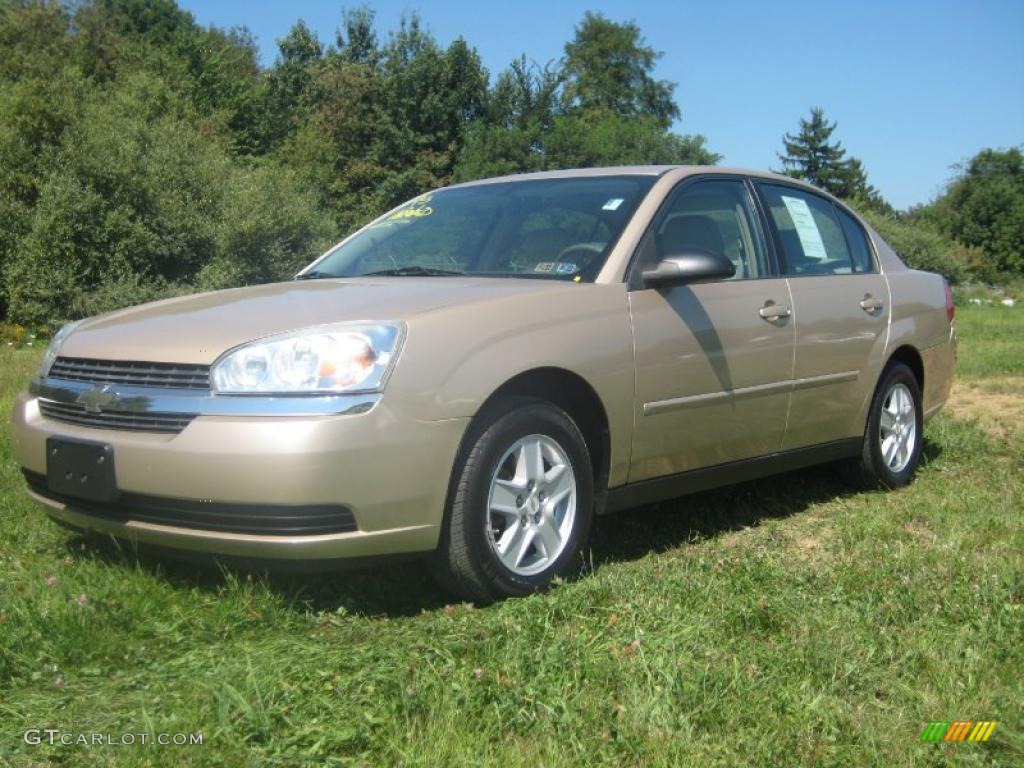 2004 Malibu LS V6 Sedan - Light Driftwood Metallic / Neutral photo #1