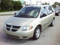 Linen Gold Metallic Pearl - Caravan SXT Photo No. 1