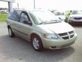 Linen Gold Metallic Pearl - Caravan SXT Photo No. 7