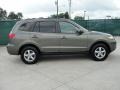 Natural Khaki Green - Santa Fe GLS Photo No. 2