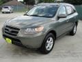 Natural Khaki Green - Santa Fe GLS Photo No. 7