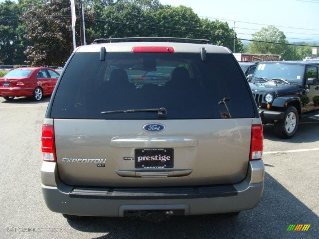 2003 Expedition XLT 4x4 - Arizona Beige Metallic / Medium Parchment photo #5