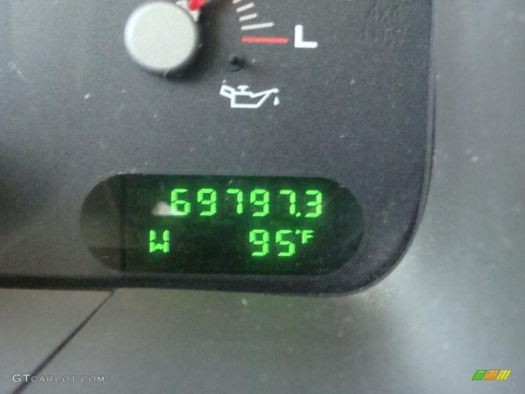 2003 Expedition XLT 4x4 - Arizona Beige Metallic / Medium Parchment photo #10