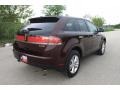 2010 Cinnamon Metallic Lincoln MKX FWD  photo #8