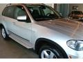 Titanium Silver Metallic - X5 xDrive35d Photo No. 14