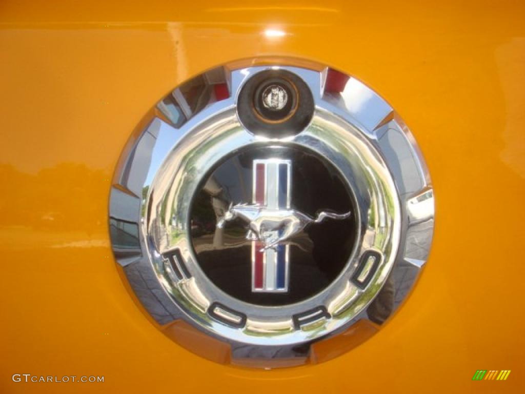 2007 Mustang V6 Deluxe Coupe - Grabber Orange / Dark Charcoal photo #9