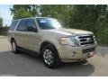 Pueblo Gold Metallic 2008 Ford Expedition XLT
