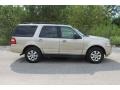 Pueblo Gold Metallic - Expedition XLT Photo No. 2