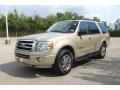 Pueblo Gold Metallic - Expedition XLT Photo No. 15