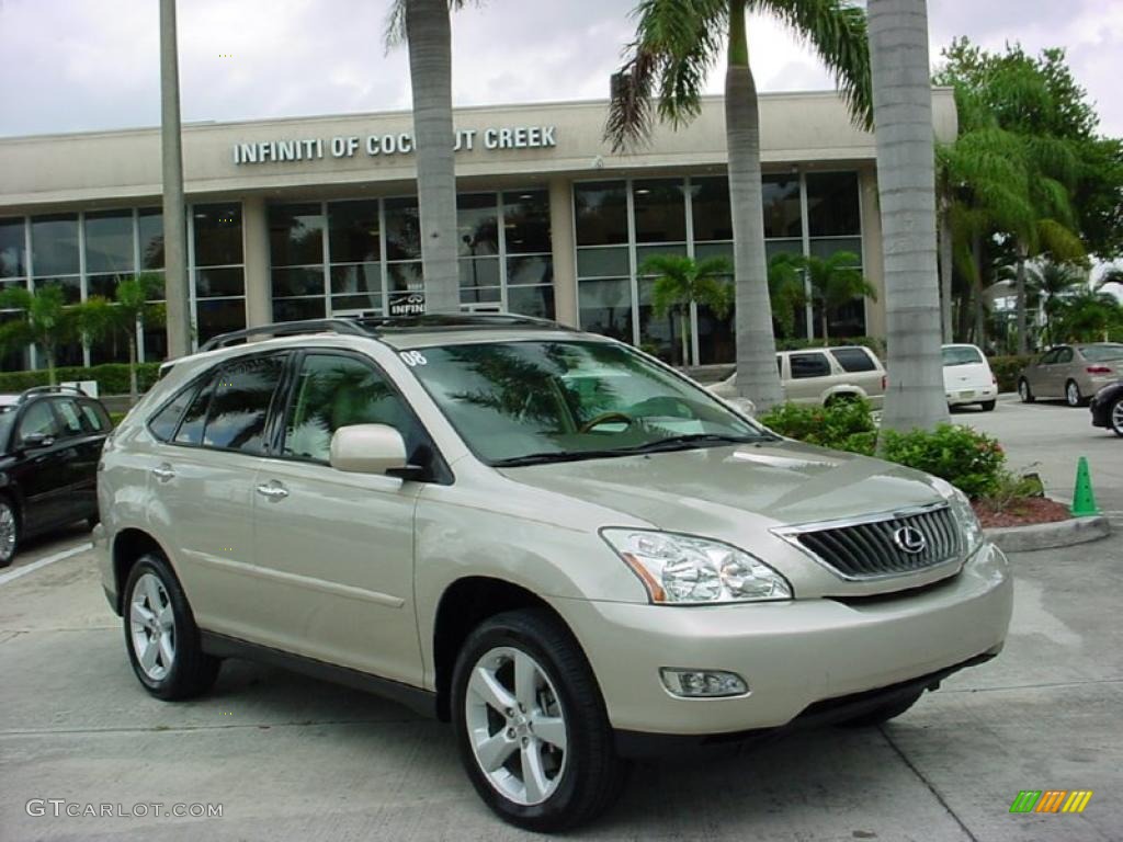 Savannah Metallic Lexus RX