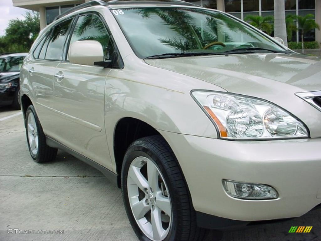2008 RX 350 - Savannah Metallic / Ivory photo #2