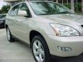 Savannah Metallic - RX 350 Photo No. 2