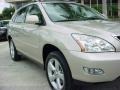 2008 Savannah Metallic Lexus RX 350  photo #2