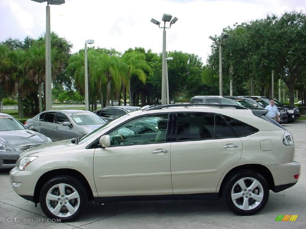 2008 RX 350 - Savannah Metallic / Ivory photo #10